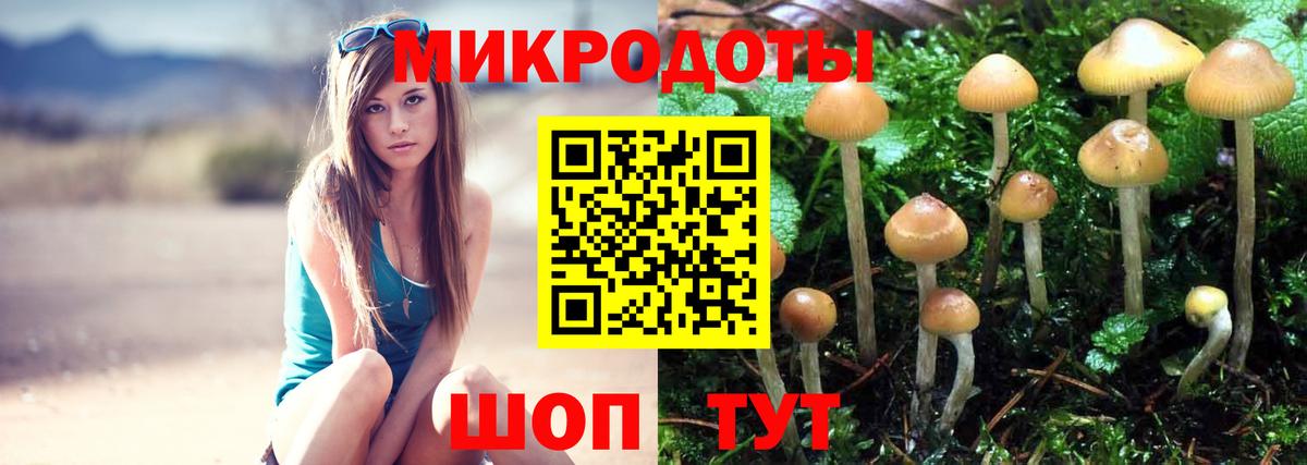 Ефремов  Галлюциногенные грибы прущие грибы  Вход с VPN 
